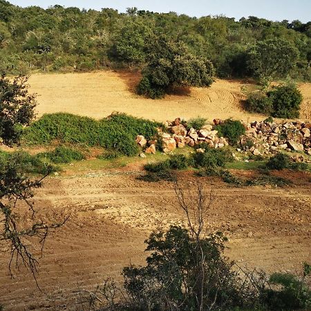 La Fuensanta Villa Hornachuelos Kültér fotó