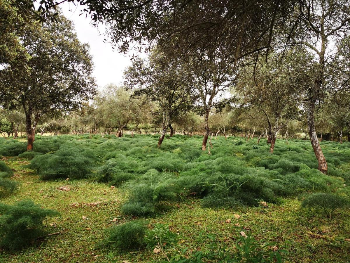 La Fuensanta Villa Hornachuelos Kültér fotó