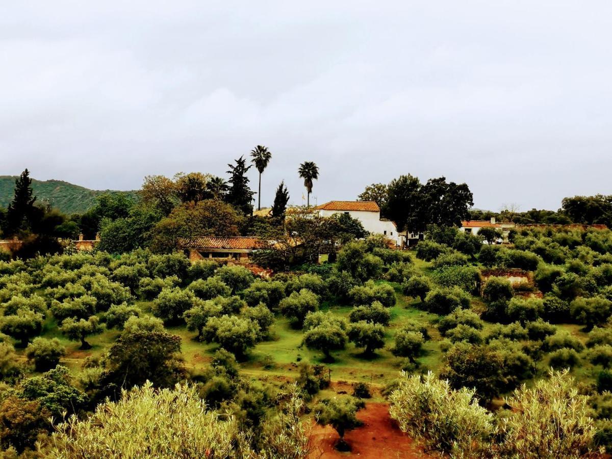 La Fuensanta Villa Hornachuelos Kültér fotó